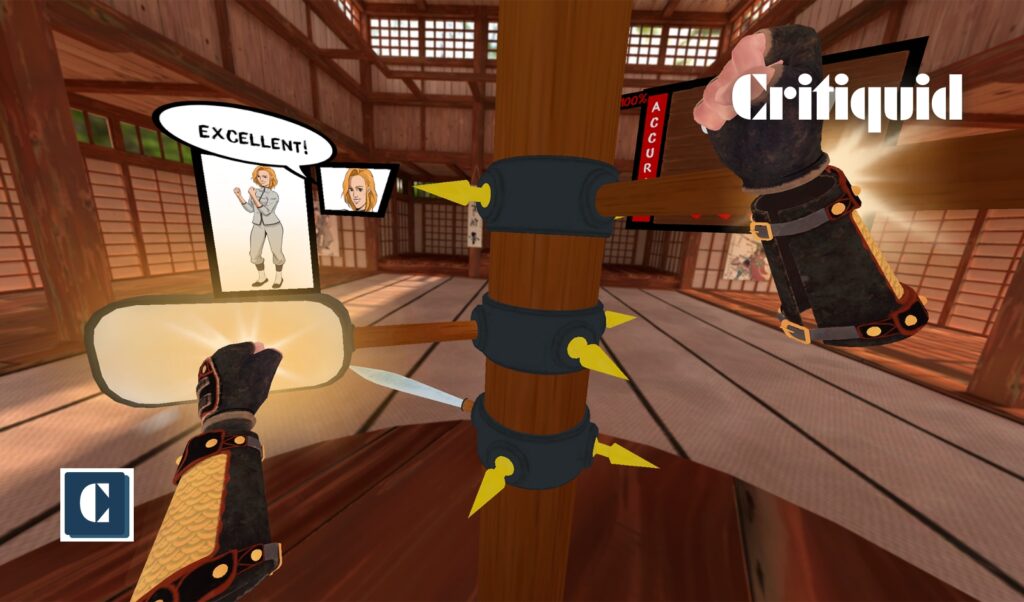 Crazy Kung Fu VR - PS5 workout games